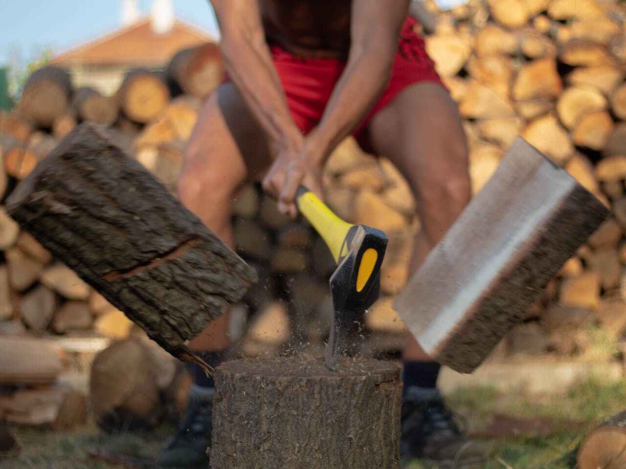 Residential Tree Removal in Swartz, LA